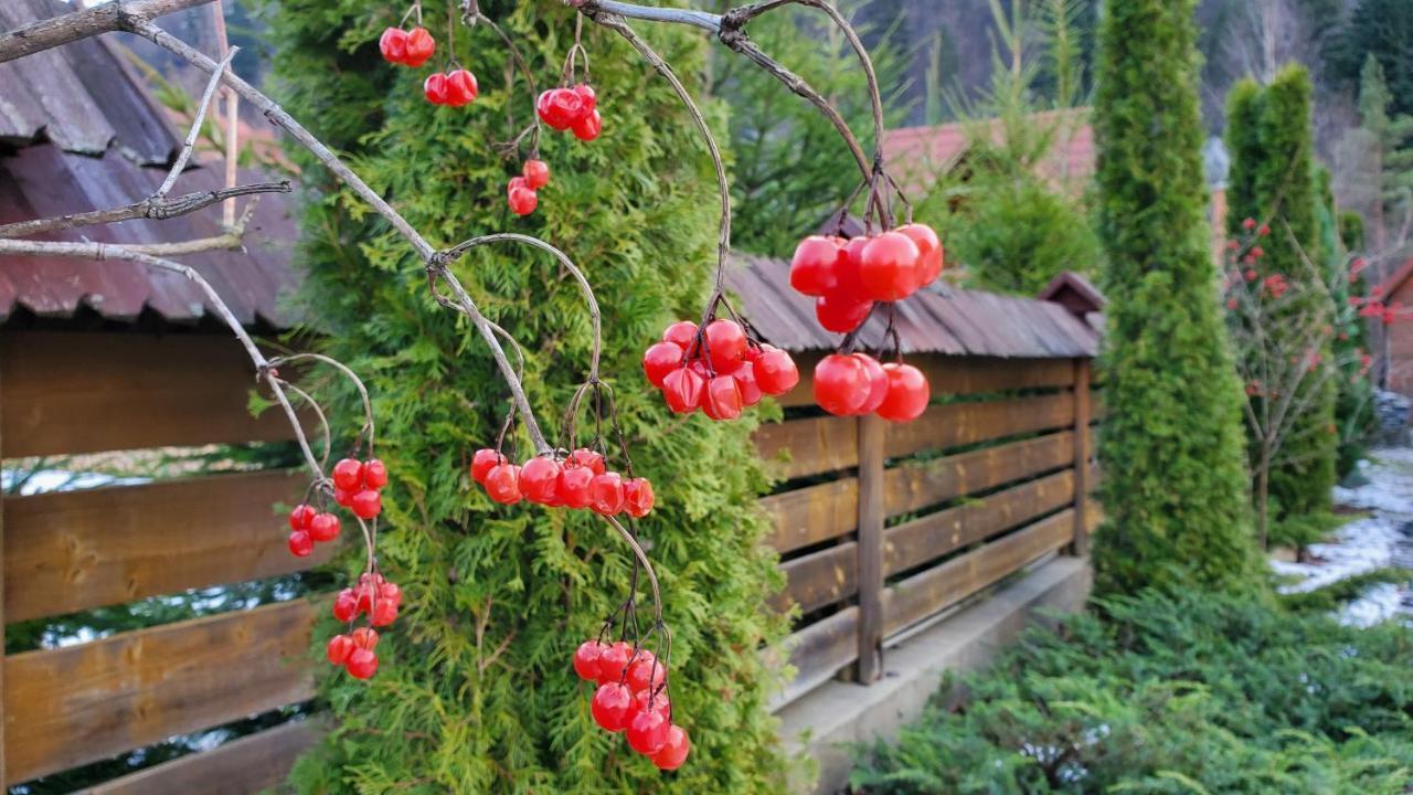 Котедж "Villa Затишна" Mykulychyn Extérieur photo
